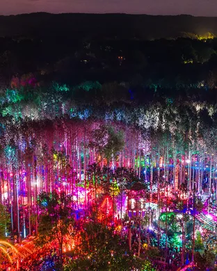 Electric Forest Grand Rapids