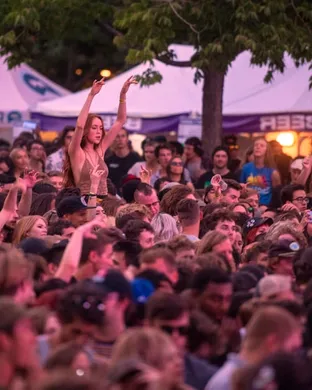 Hippie Sabotage Grand Rapids