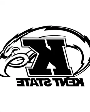 Kent State Golden Flashes Kalamazoo