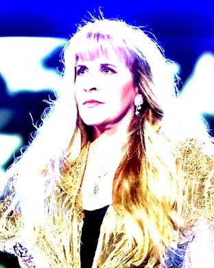 Stevie Nicks Grand Rapids