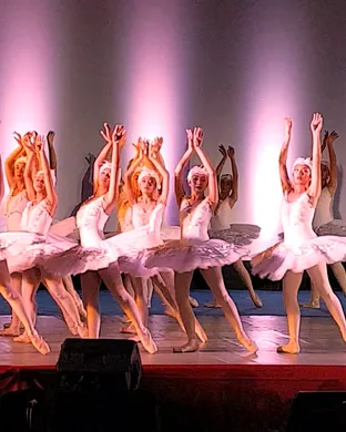 Swan Lake Muskegon