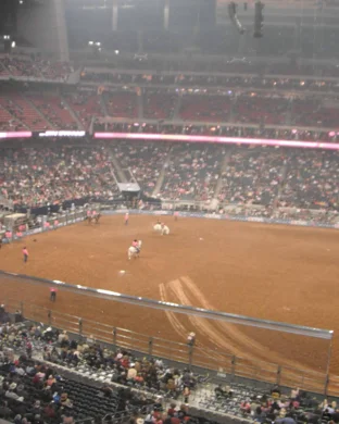 Professional Rodeo